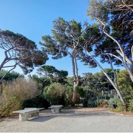 T3 Vue Les Pieds Dans L'eau, Piscine, Clim Apartamento