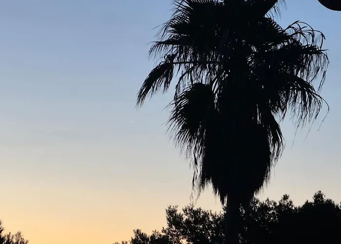 T3 Vue Les Pieds Dans L'eau, Piscine, Clim Apartment Hyeres