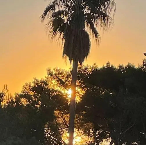 Apartment T3 Vue Les Pieds Dans L'eau, Piscine, Clim *